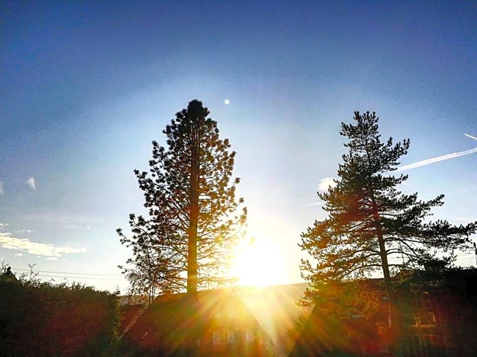 Forsters Schwarzwald Hof - Resort-Hotel&Pension