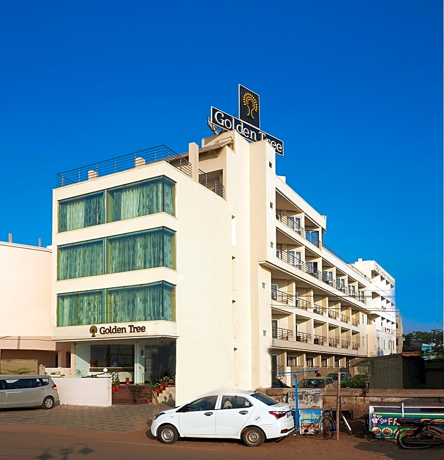 Photo 1 of 49 of Golden Tree