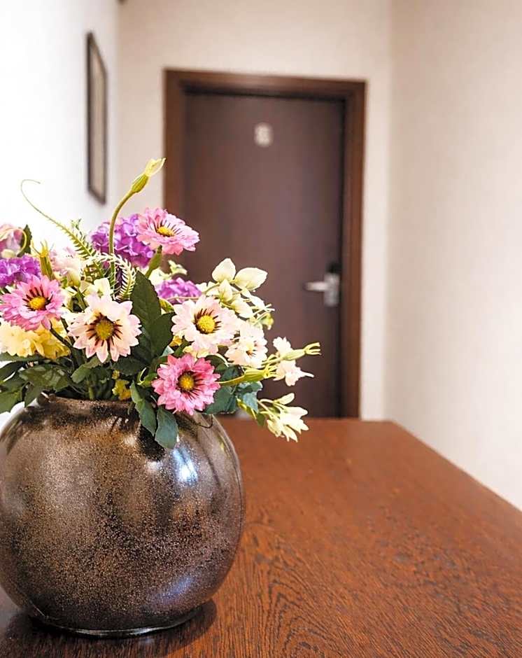 Da Vinci Boutique Hotel