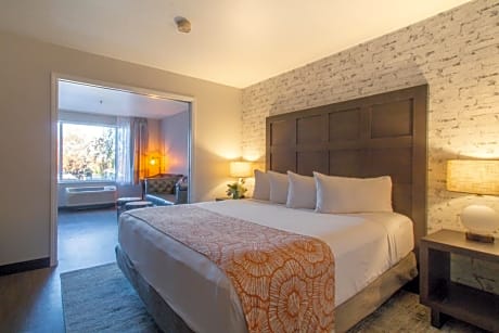Two Room Family Suite 2 King 2 Bathroom Sleeper Sofa