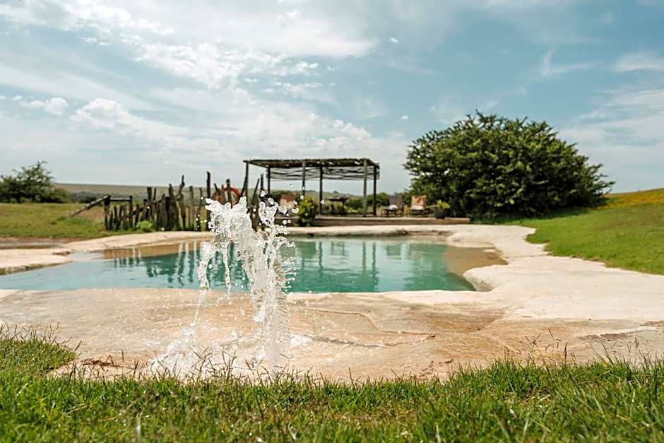 Hlosi Game Lodge - Amakhala Game Reserve