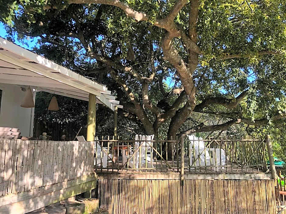 The Riverdeck Accommodation and Backpackers