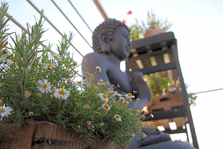 König`s Hotel am Schlosspark