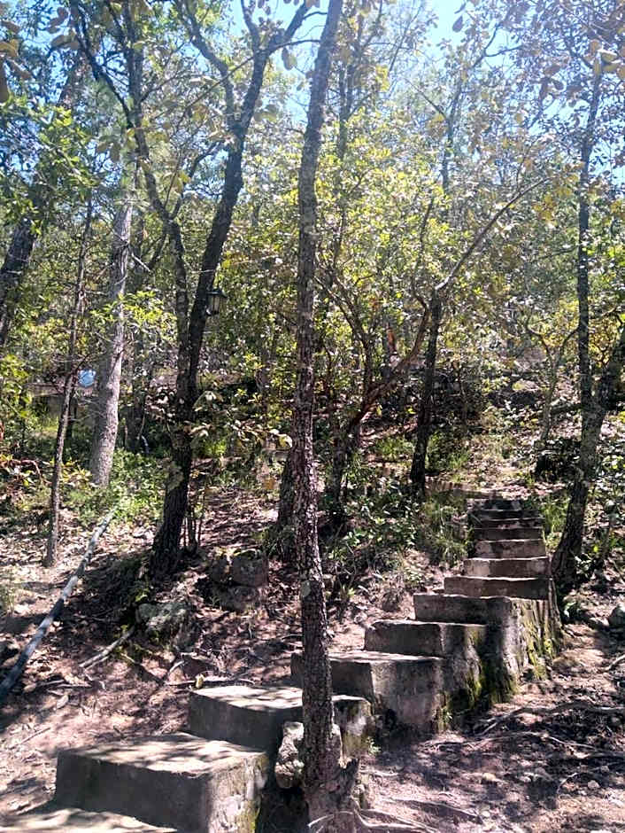 Hotel Mansion Tarahumara