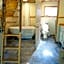 Tree Ring Cabin on 33 Acre Farm