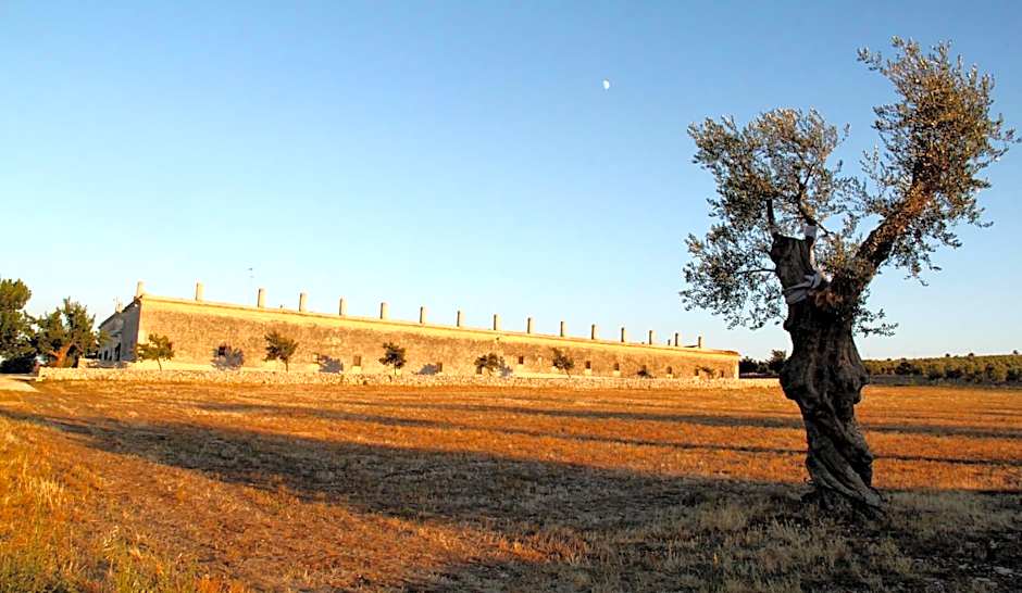 Lama Di Luna Biomasseria
