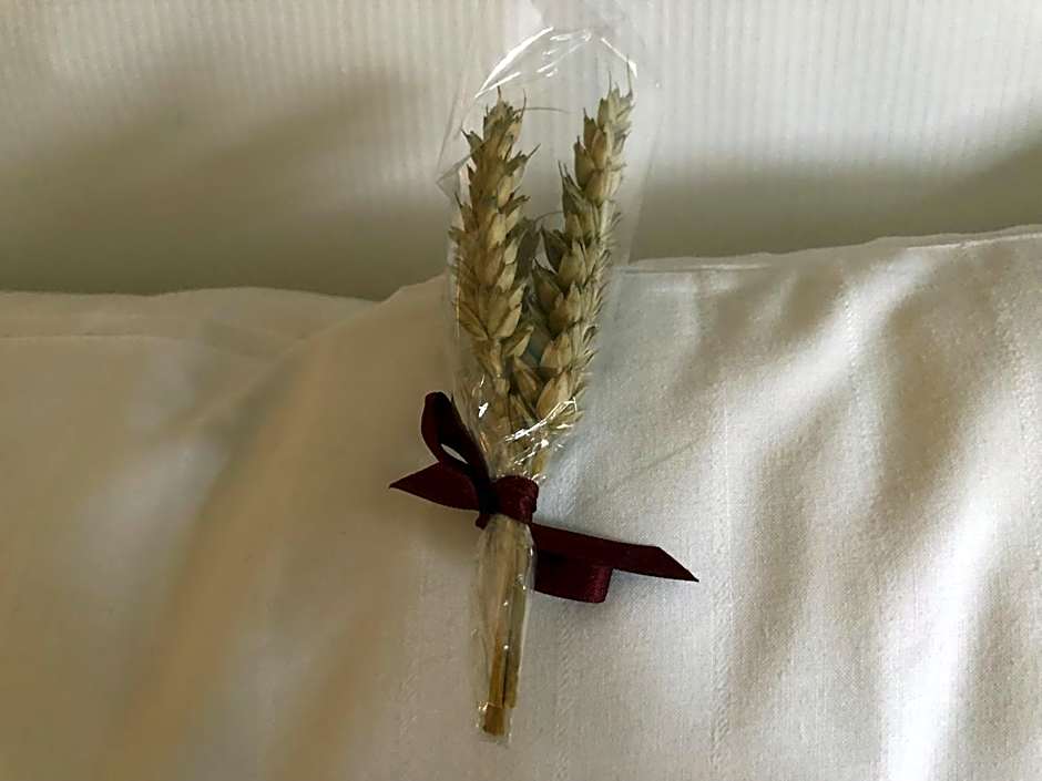 Aksjemøllen - by Classic Norway Hotels