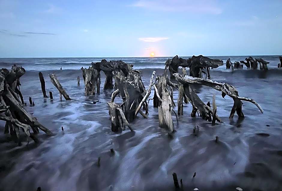 Summerspring Beachfront Accommodation