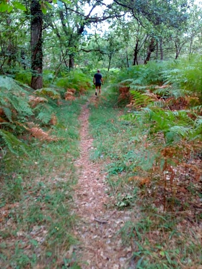 B&B Les Quatre Vents