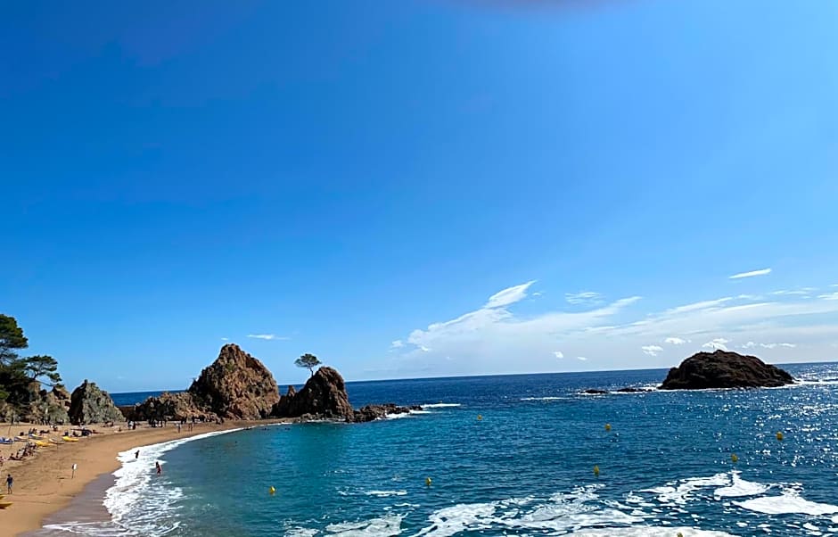 Mana Mana Youth Hostel