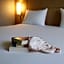 ibis Montpellier Sud