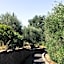 Le Petit Pali St Helena
