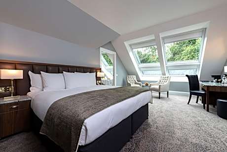 King Suite with View