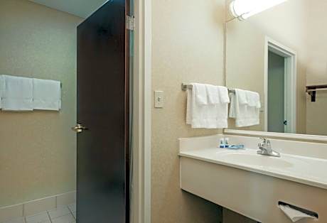 1 King Bed Mobility Accessible Room Roll-In Shower Non-Smoking