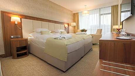 Premium Double Room with Wellness Access