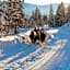 AlpenParks Hotel & Apartment Hochkönig
