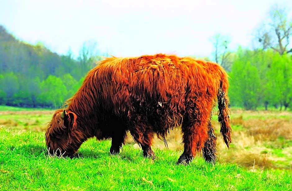 Fletcher Hotel-Restaurant De Geulvallei