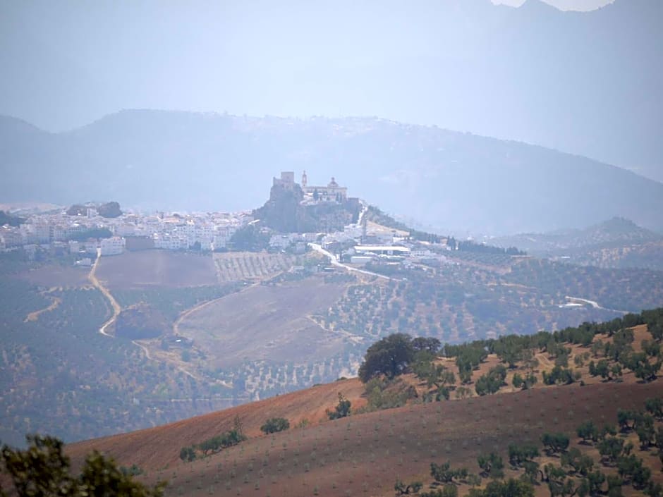 No 31 Bed & Breakfast