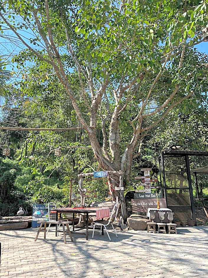 Lap nai doi homestay and space