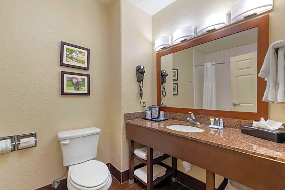 Comfort Inn & Suites Near Six Flags & Medical Center