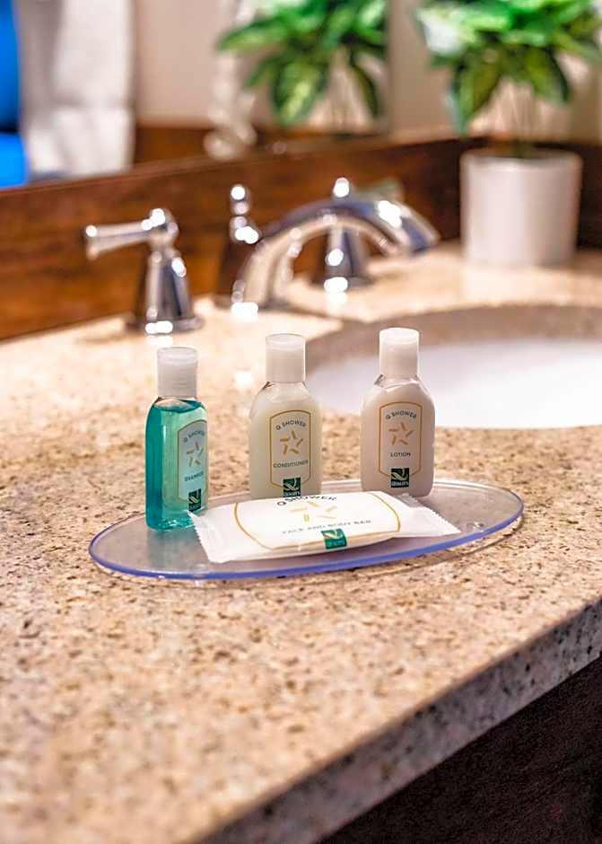 Quality Inn & Suites Auburn I-95