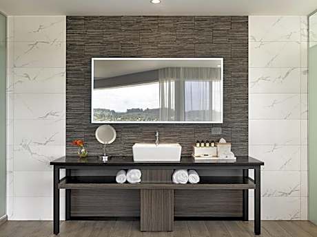 Superior King Suite with City View