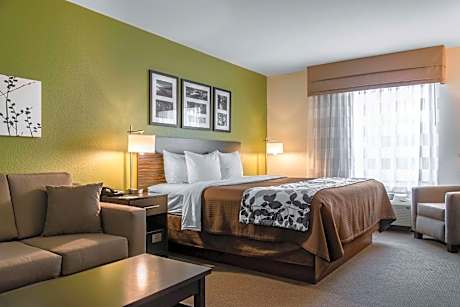 1 King Bed, Suite, Nonsmoking