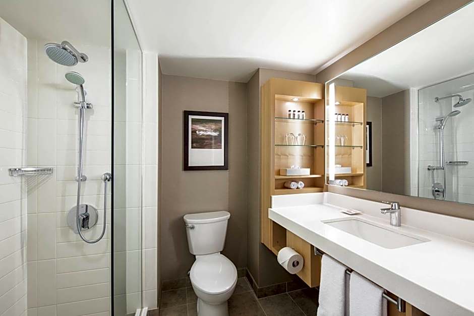 Delta Hotels by Marriott Winnipeg