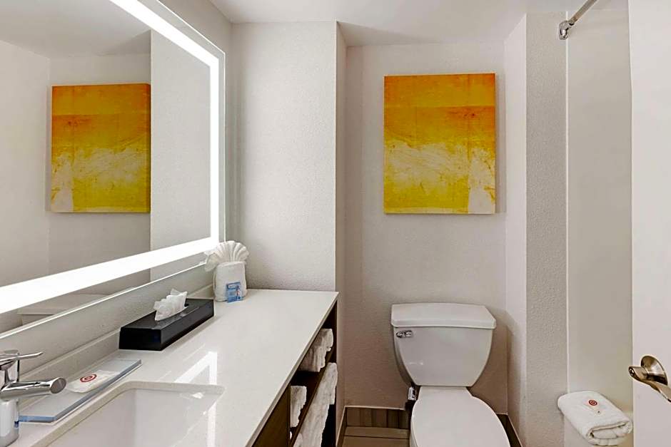 Comfort Inn & Suites Arlington Heights - Schaumburg