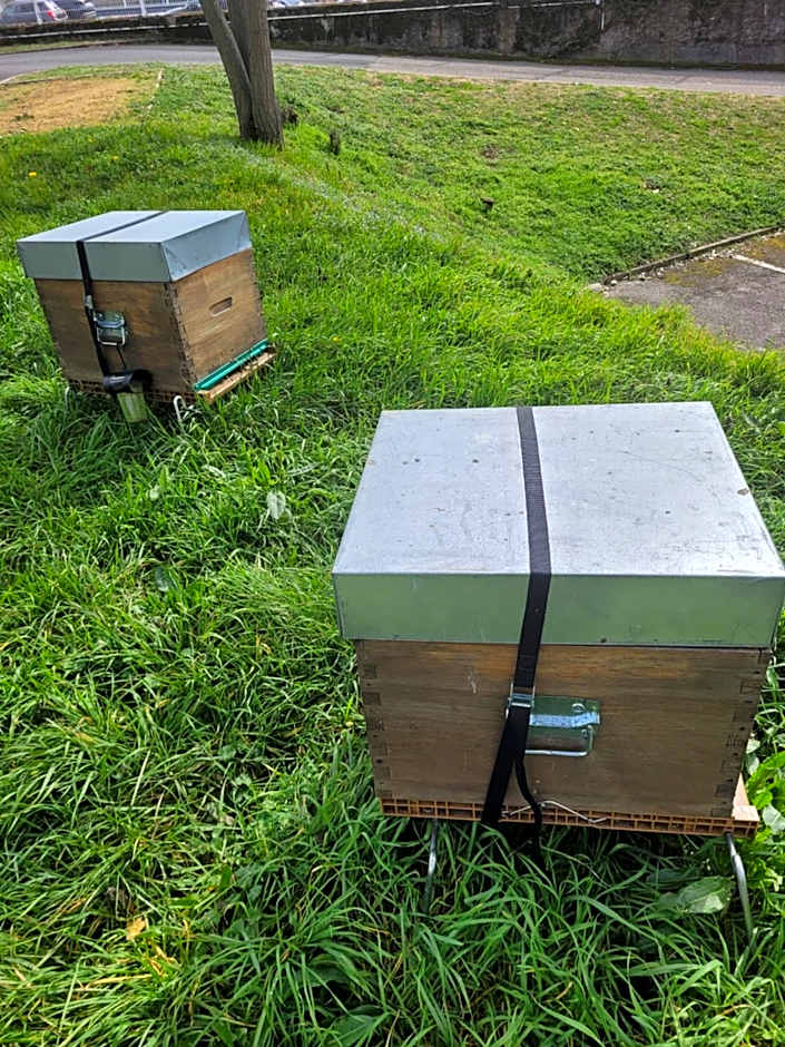 KYRIAD DIRECT LYON NORD - Dardilly