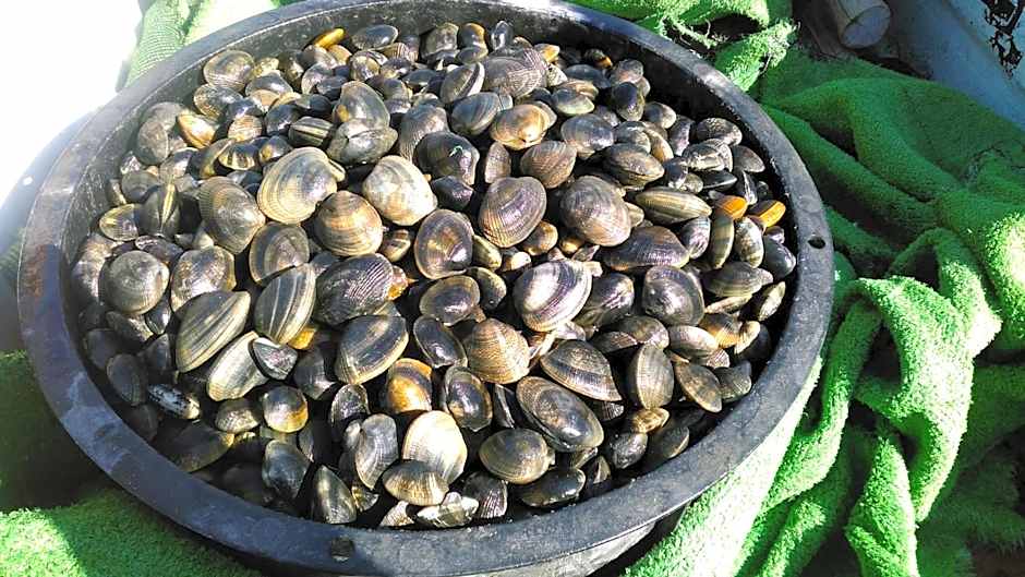 Minshuku Takahashi Kashibuneten