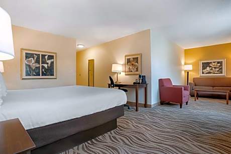 King Room with Spa Bath - Non-Smoking