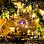 Hotel Milton Roma