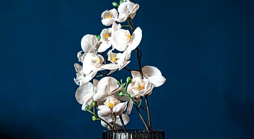 PARNIS PALACE HOTEL SUITES