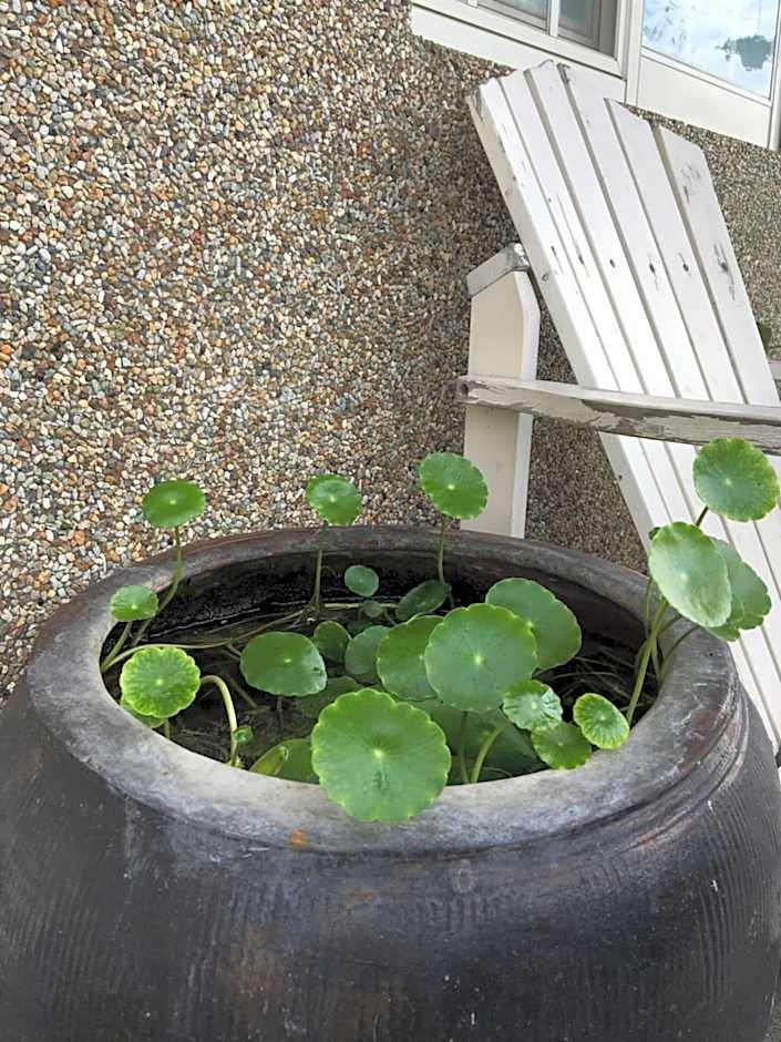 Yilan Real Fun Homestay