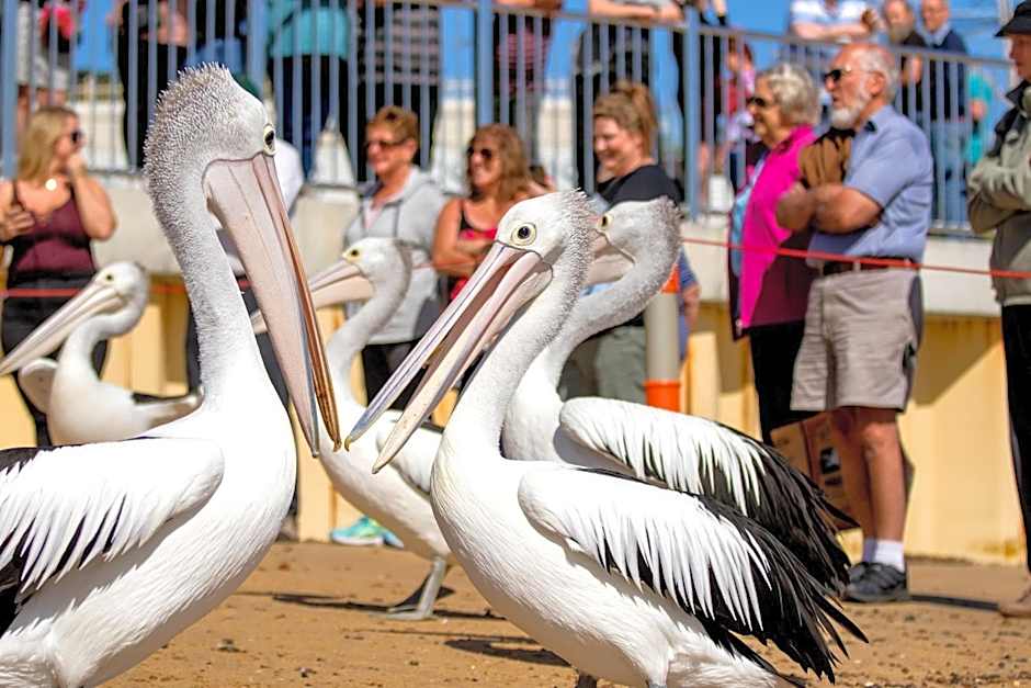 BIG4 Ingenia Holidays Phillip Island