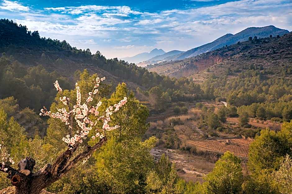 M A S L A P A U Country Hotel - Adults only