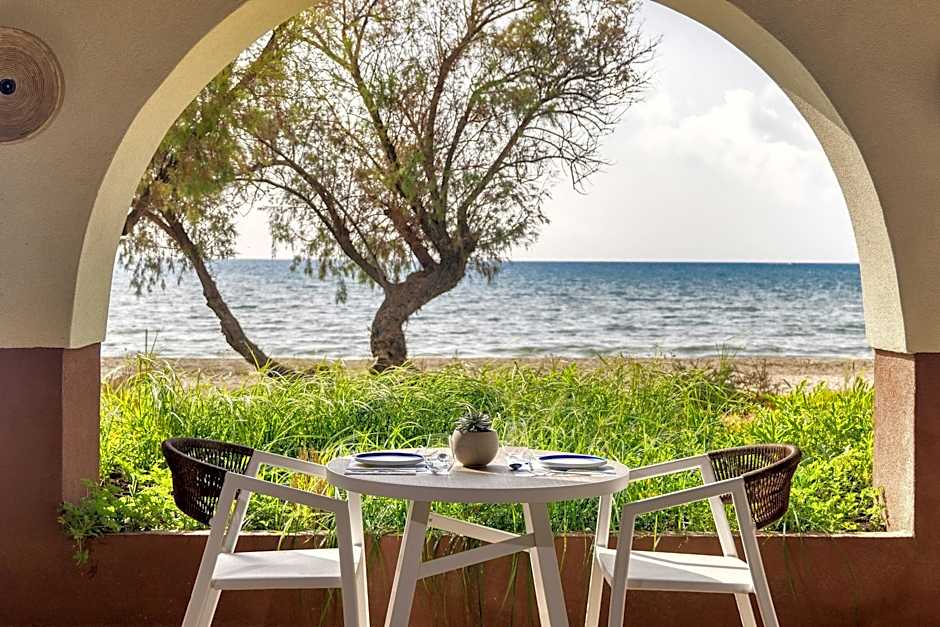 Domes Aulus Zante, Autograph Collection