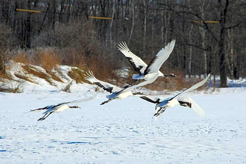 Traveler's Inn Asanebo