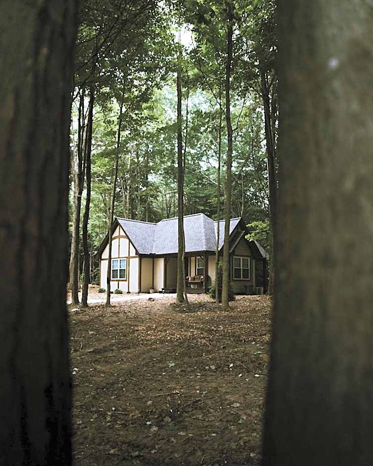 Vineyard Woods