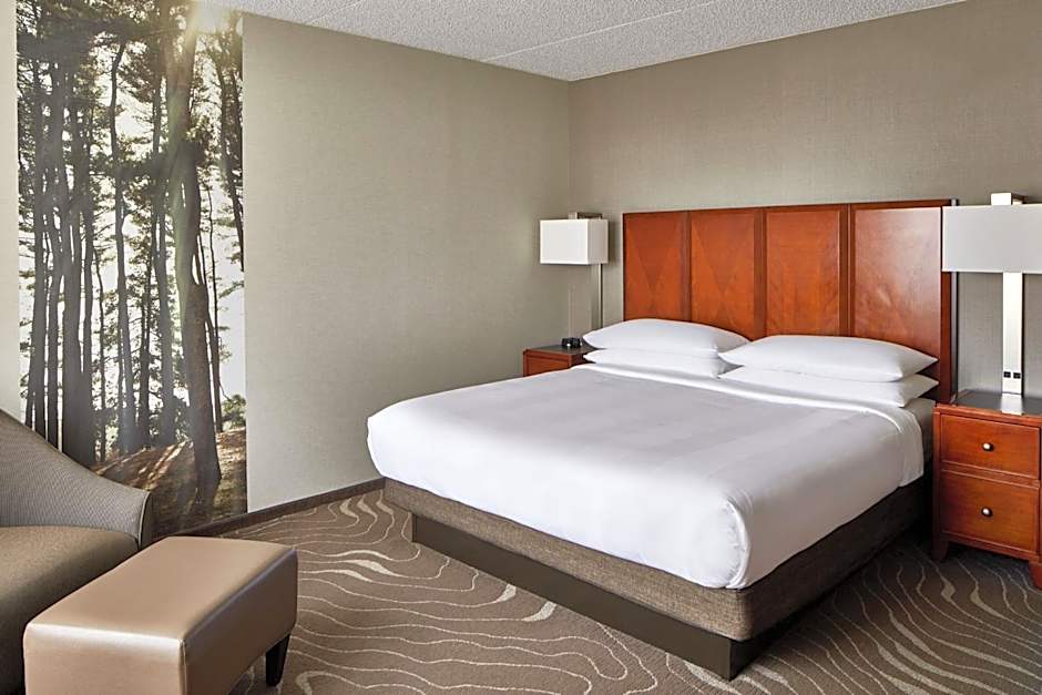 Detroit Metro Airport Marriott