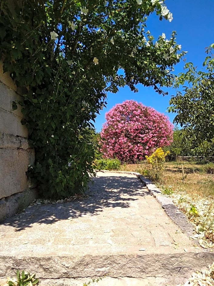 Casa do Forno, Viseu