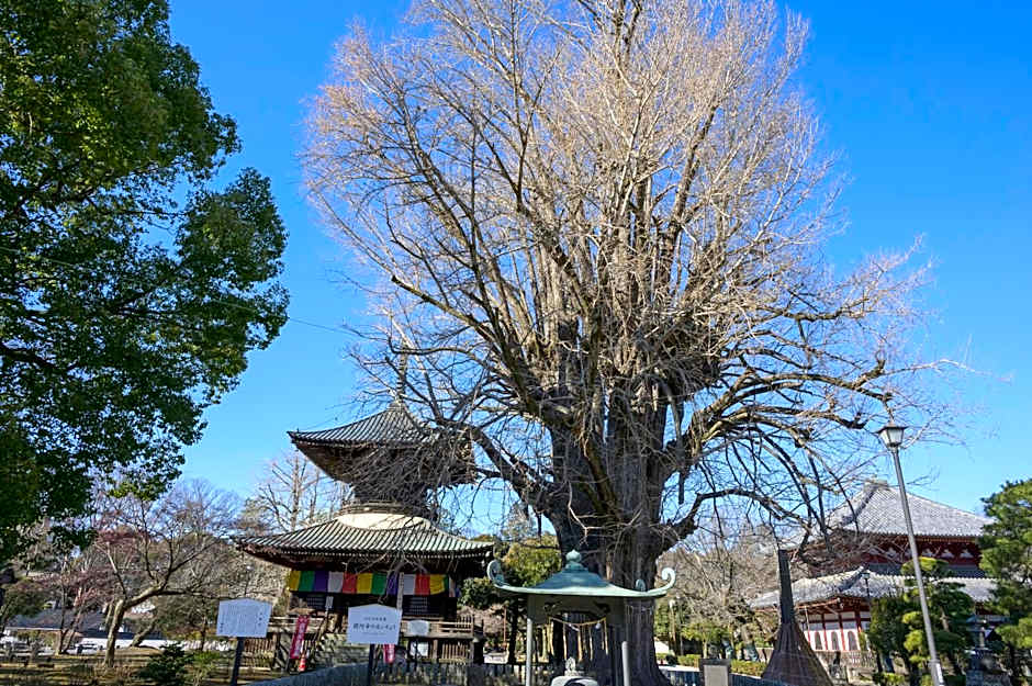 Hotel Wakasa