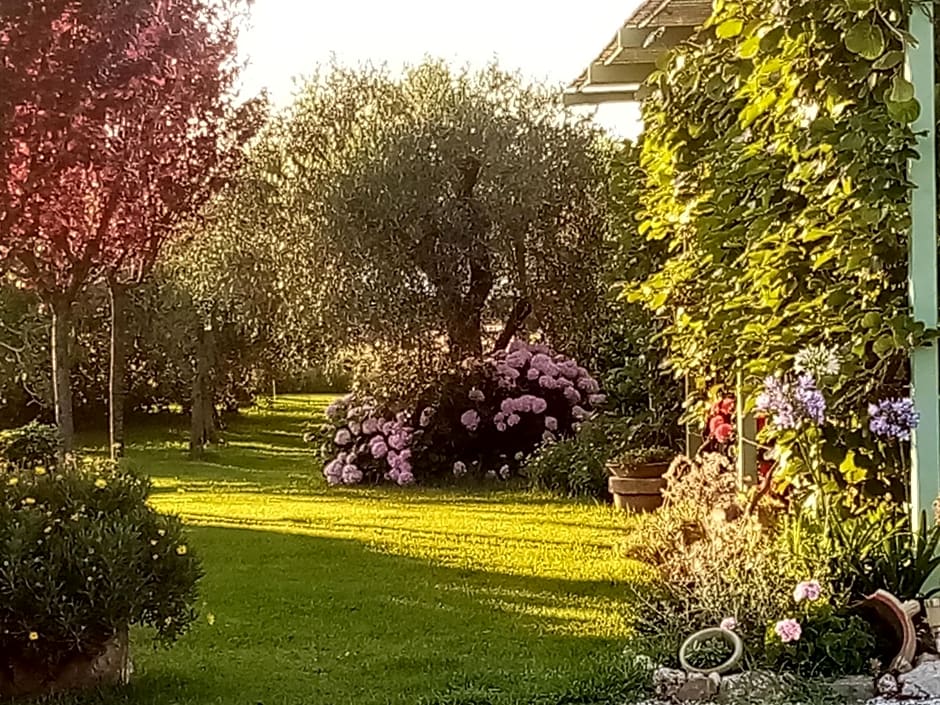 Vecchio Casale Margherita