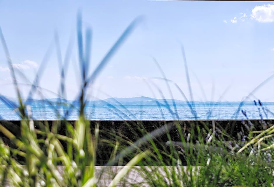 Seehotel Litz