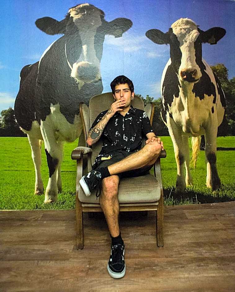 The Flying Pig Downtown