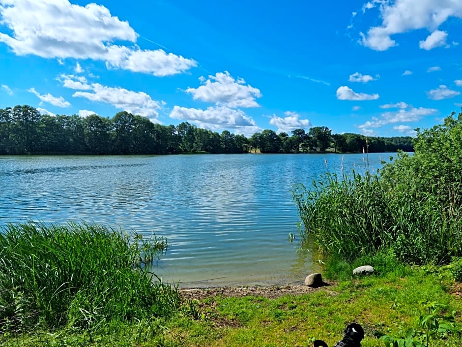 Domek nad jeziorem Bystrzyna