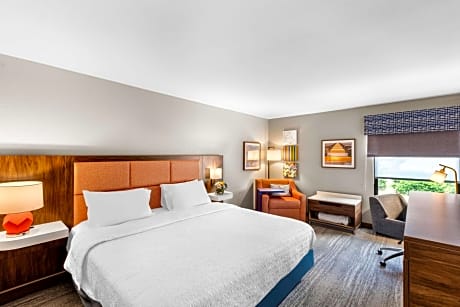 1 King Bed Deluxe Room Nonsmoking