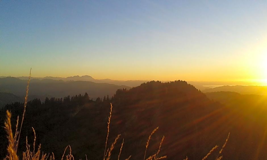 Berghüs Schratt - EINFACH ANDERS - Ihr vegetarisches und veganes Biohotel