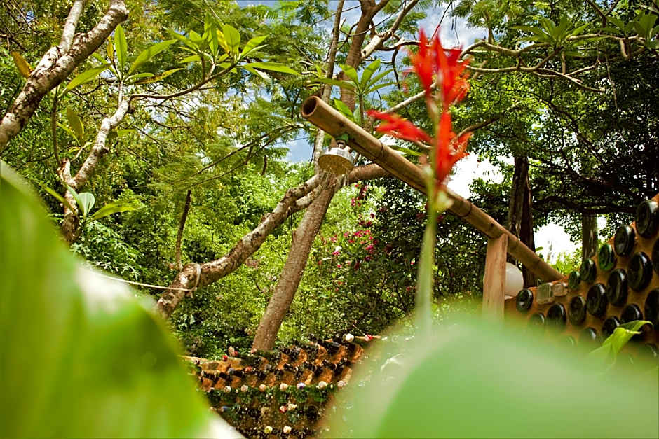 Distant Relatives Ecolodge & Backpackers